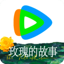 圣斗士最强雅典娜小说