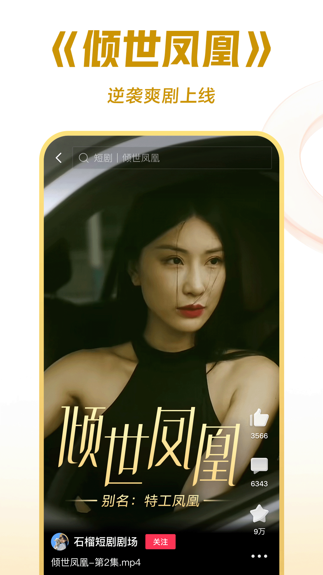 不惑的青春什么意思截图